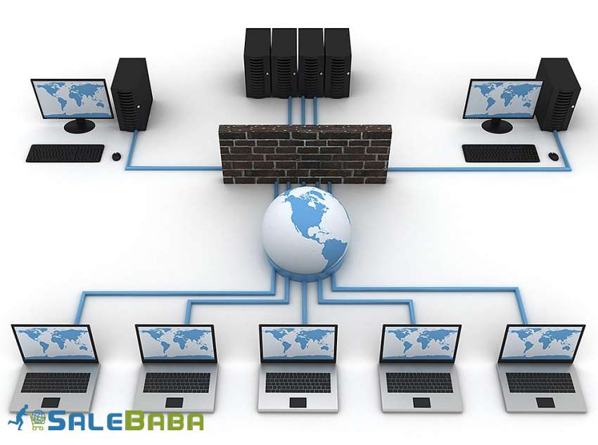 Computer Networking Services