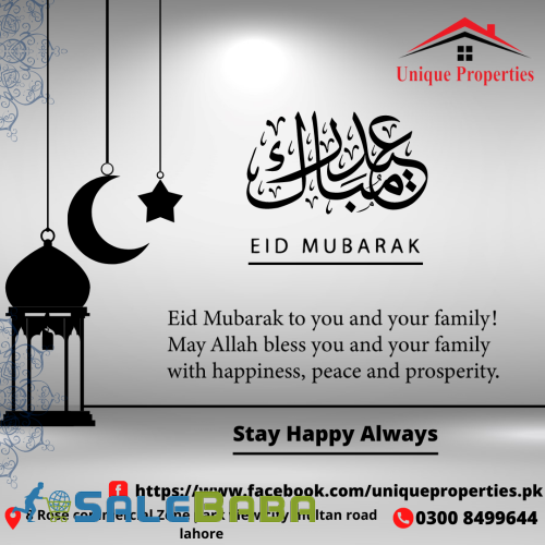 Graphic & Logo Designing