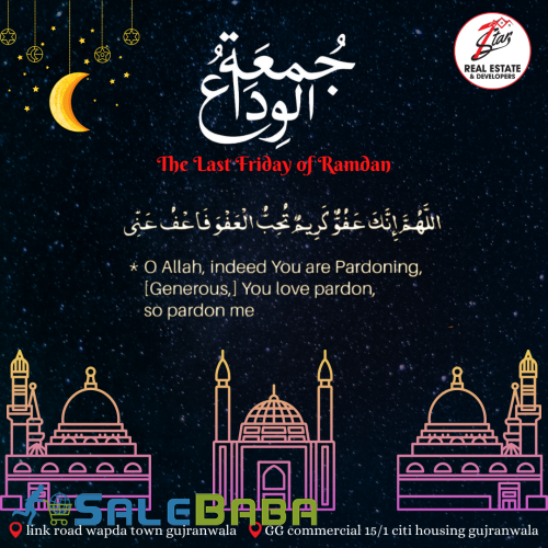 Graphic & Logo Designing