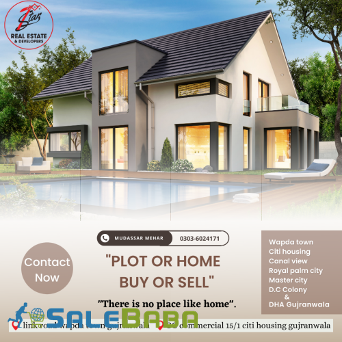 Graphic & Logo Designing