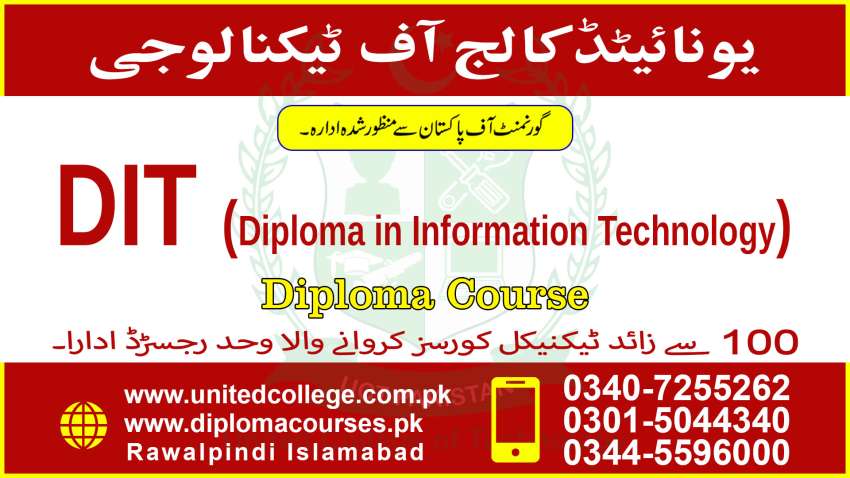 323DIPLOMAININFORMATIONTECHNOLOGYCOURSE4