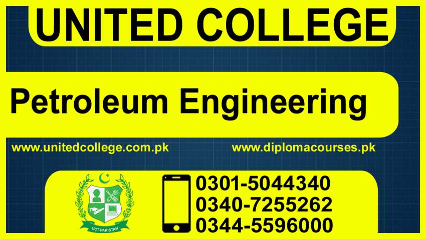 567PETROLEUMENGINEERINGPROFESSIONALCOURSE