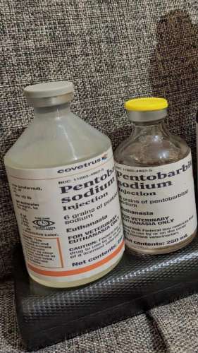 Come acquistare pentobarbital sodico online, ordinare Nembutal