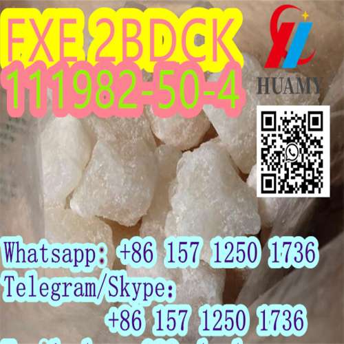 fxe 2fdck 111982504 with high quality