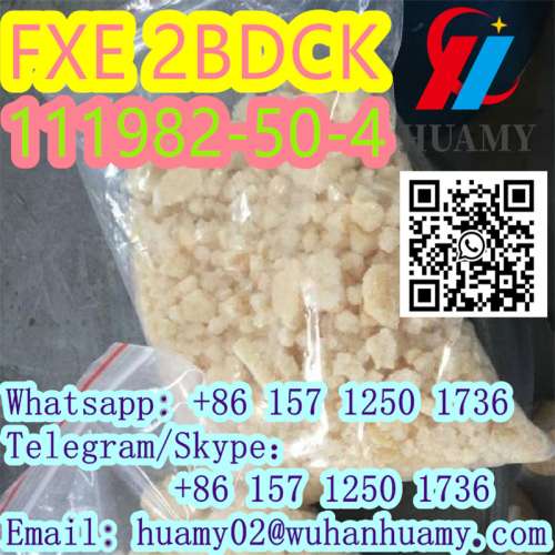 fxe 2fdck 111982504 with high quality