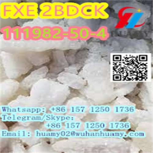 fxe 2fdck 111982504 with high quality