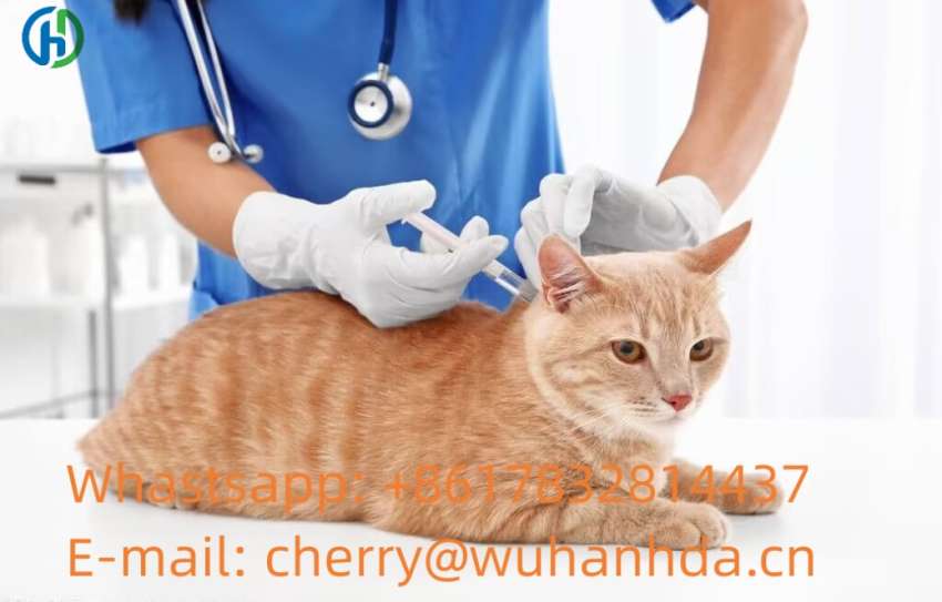 Chinese manufacturer GS441524 injectable For Cats With FIP