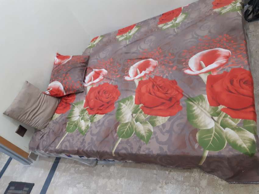 Molty Mattress Foam (King Size)