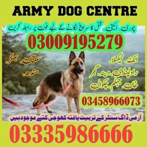 Army Dog Center Sargodha zero3009195twosevennine