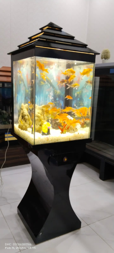 Black Wooden Aquarium