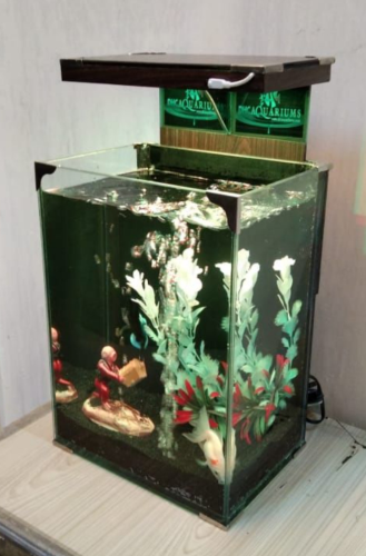 Betta  Gold fish House