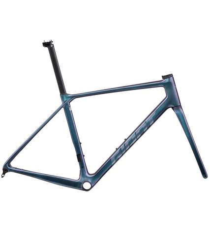 2025 Giant TCR Advanced Pro Frameset (ALANBIKESHOP)