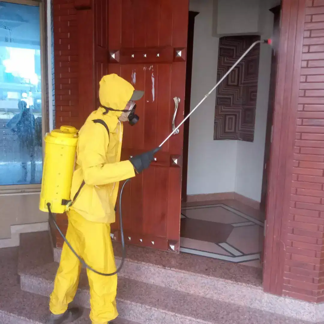 Termite & Pest Control Services Available