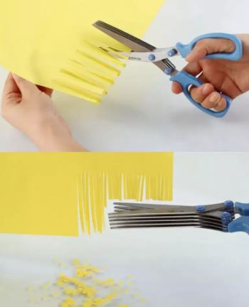 Scissors 5 layers for kitchen use