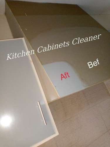 Oil  Grease Cleaner For Hotel, Restaurants