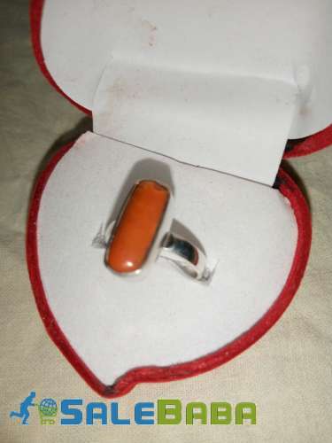 Coral (Monga Marjan) Whatsapp for Latest Price