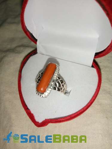 Coral (Monga Marjan) Whatsapp for Latest Price