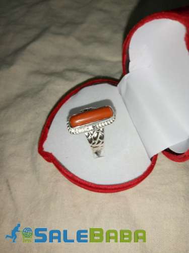 Coral (Monga Marjan) Whatsapp for Latest Price