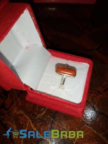 Coral (Monga Marjan) Whatsapp for Latest Price