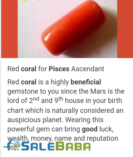 Coral (Monga Marjan) Whatsapp for Latest Price